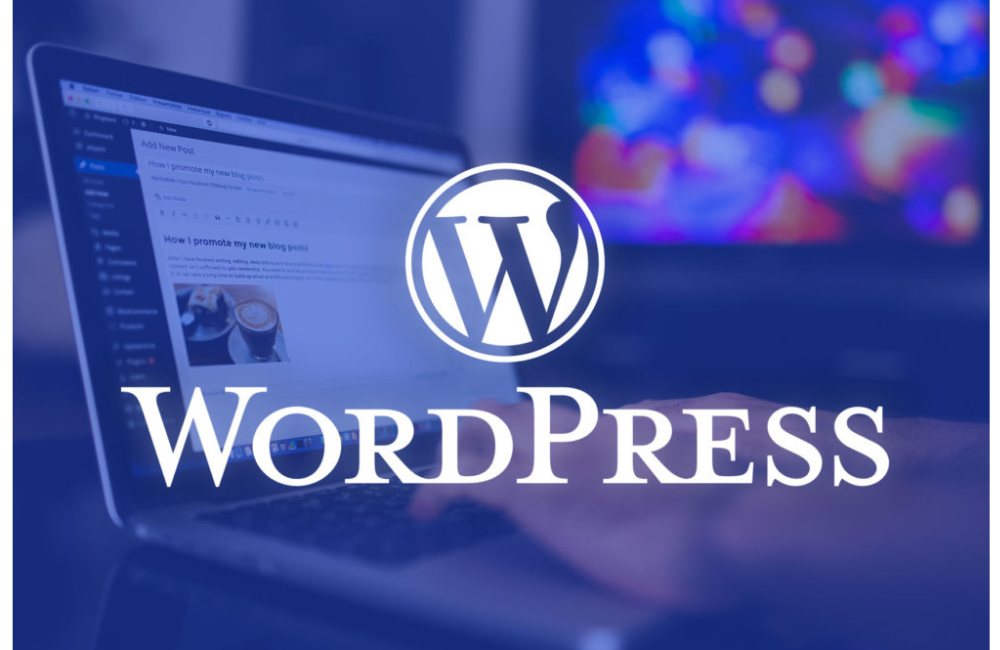 Wordpress-website-development